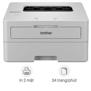 Máy in Brother HL-B2100D